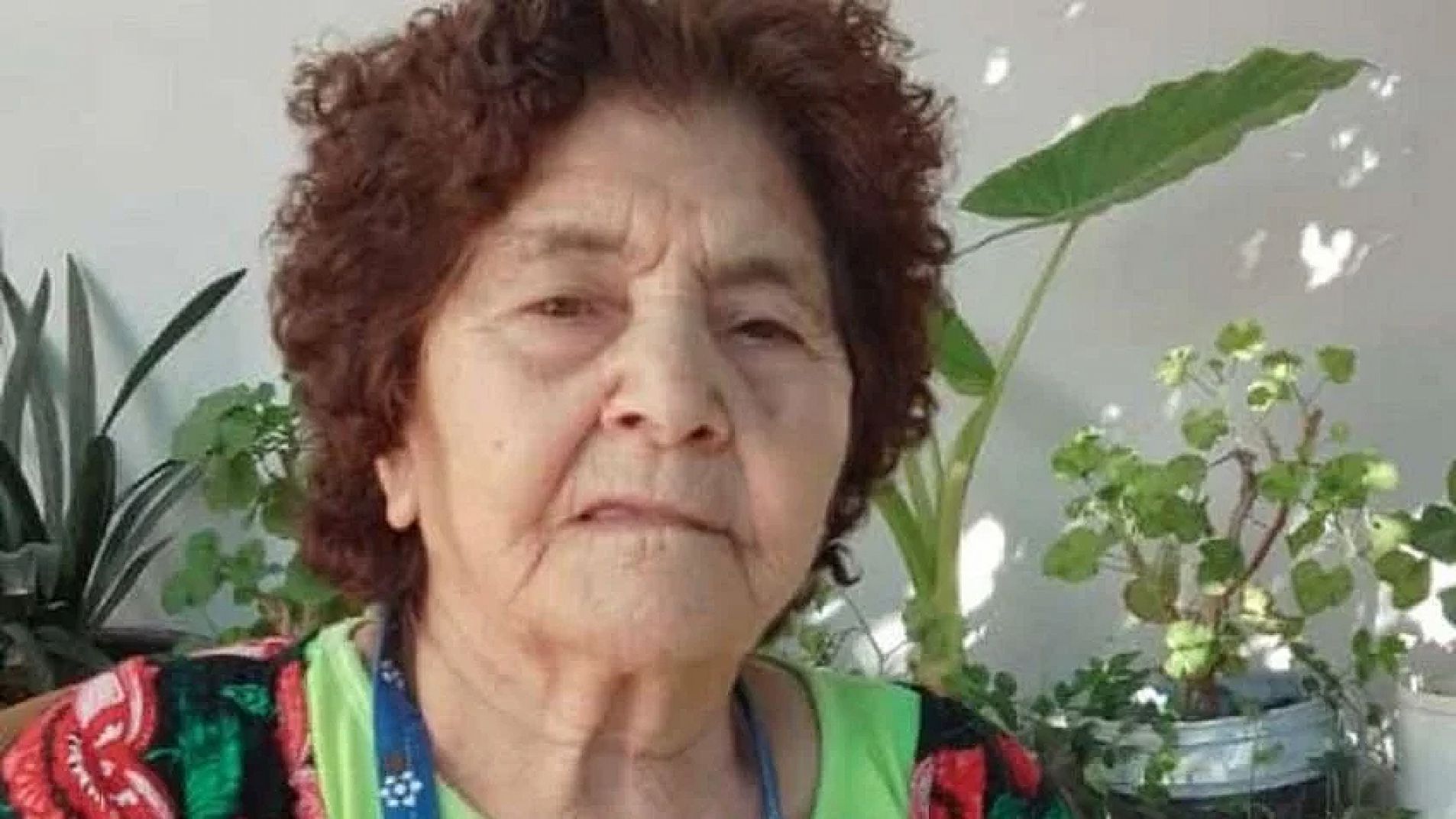 Avances y acciones en la búsqueda de Honoria del Carmen Jorge